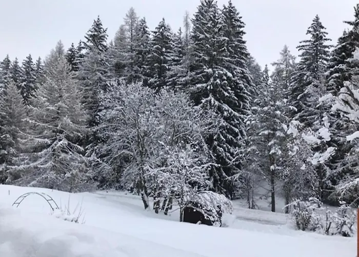 Familial Les Girolles Aux Portes D'anzere شاليه